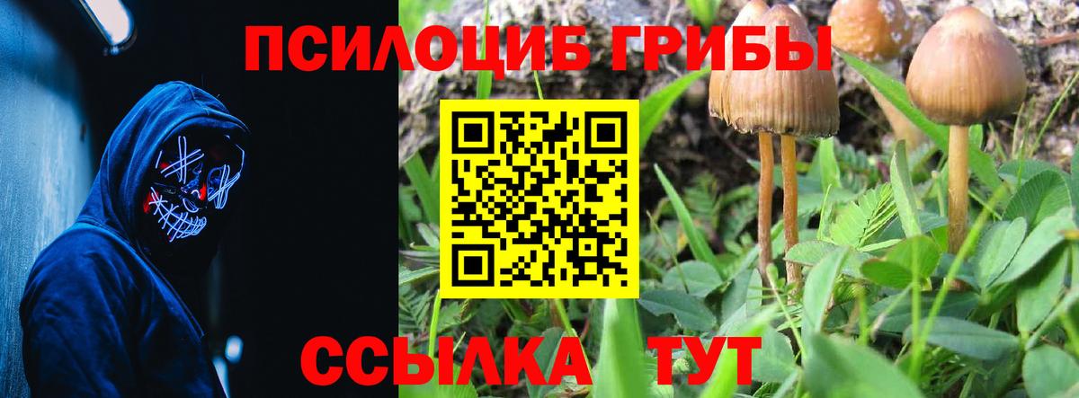 Галлюциногенные грибы GOLDEN TEACHER  Галлюциногенные грибы ЛСД  Вход с VPN  Тобольск 