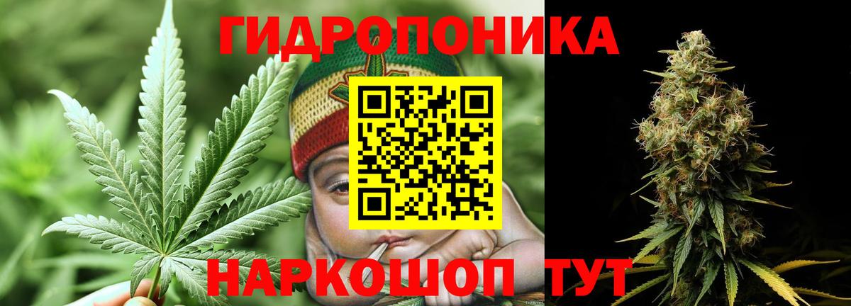 Конопля планчик Тобольск